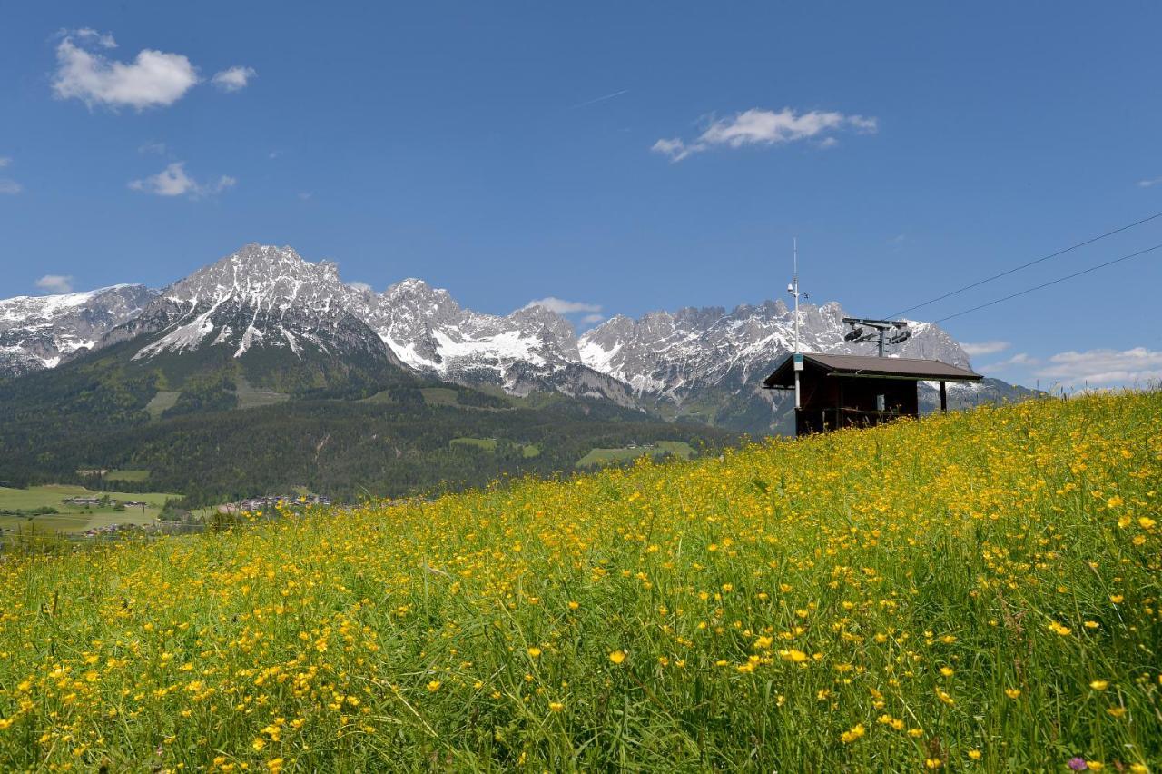 Chalet Grizzly เอลล์เมา ภายนอก รูปภาพ